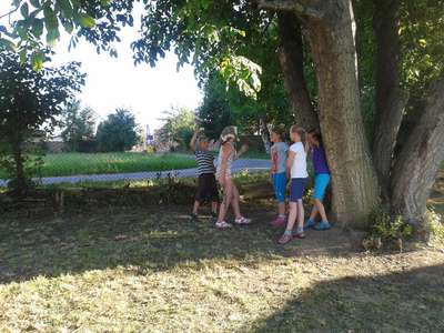 20150702-184053.jpg