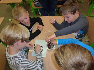 P1070803.JPG