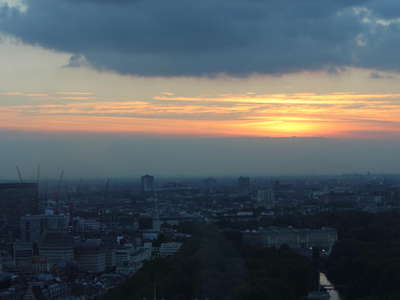 IMG-5156.JPG