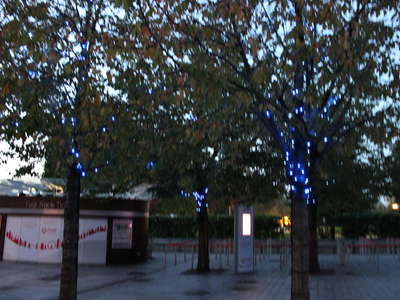 IMG-5220.JPG
