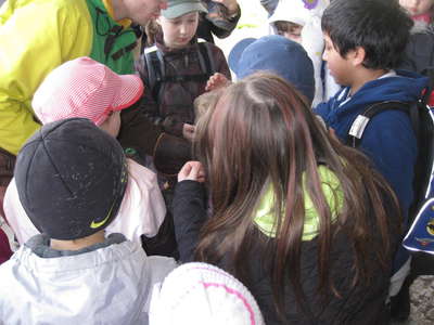 IMG-8106.JPG