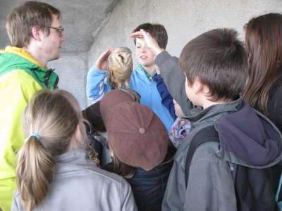 IMG-8109.JPG