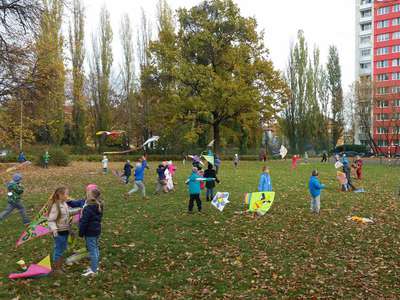 20161104-141916.jpg
