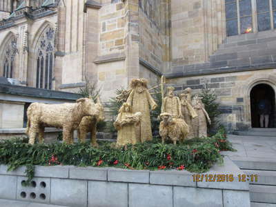 IMG-3271.JPG