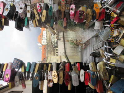 IMG-3302.JPG