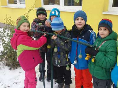 20170112-093147-resized.jpg