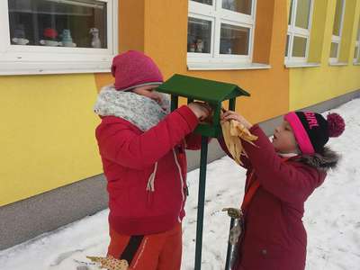 20170112-093735-resized.jpg