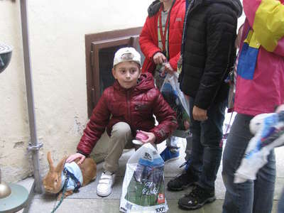 31_IMG-9970.JPG