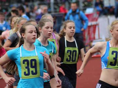 47_IMG-1530-PAvlikova-800m-2.jpg