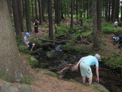 IMG-0165.JPG