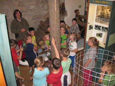 IMG-0190.JPG