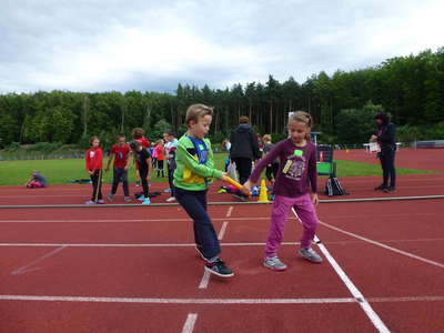 P1040099.JPG