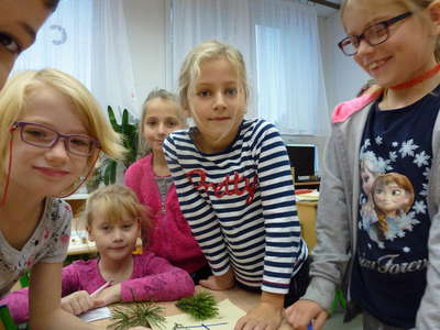 17_P1100608.JPG