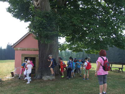 DSCF0162.JPG