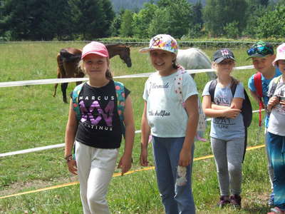 DSCF0234.JPG
