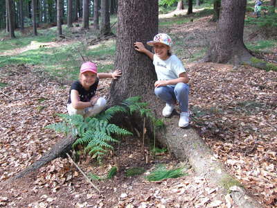DSCF0254.JPG