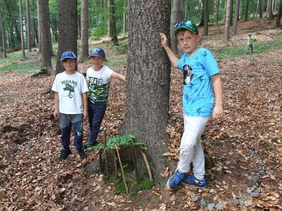 DSCF0256.JPG
