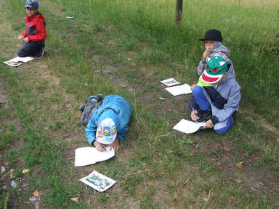 DSCF0333.JPG