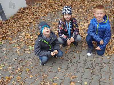 20181026-140014.jpg