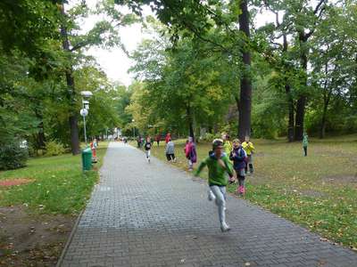 18_P1130001.JPG