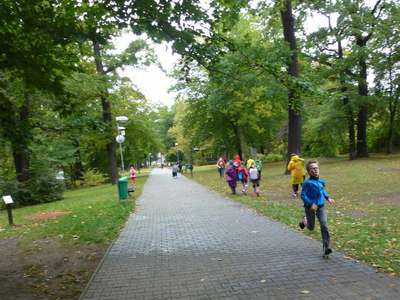 19_P1130002.JPG