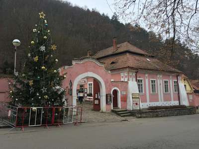 IMG-5323.JPG