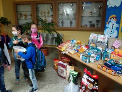 IMG-20201216-074542.jpg