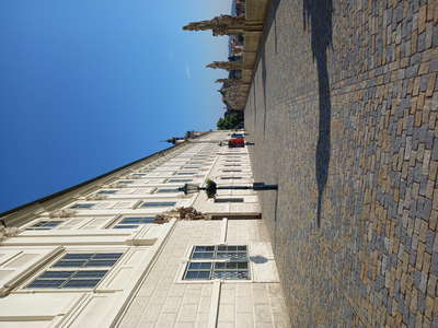 20210610-084244.jpg