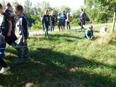 50_P1130992.JPG