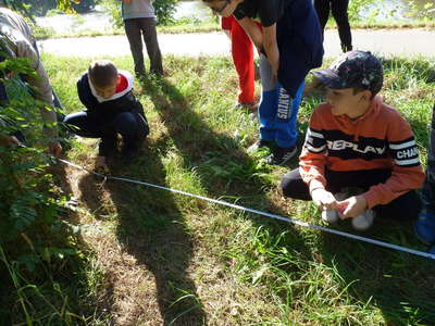 53_P1130995.JPG