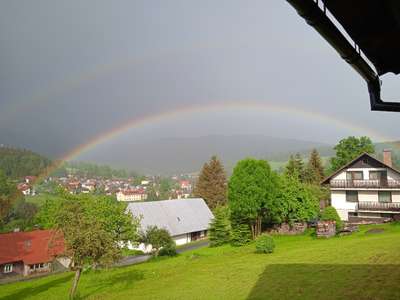 IMG-20220530-174410.jpg