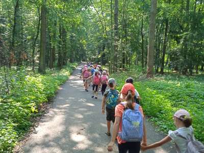 IMG-20220701-084144-1.jpg