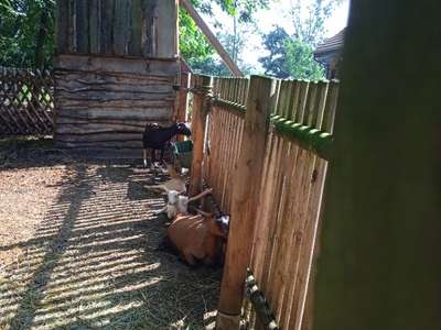 IMG-20220701-092028-1.jpg