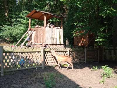 IMG-20220701-092142-1.jpg