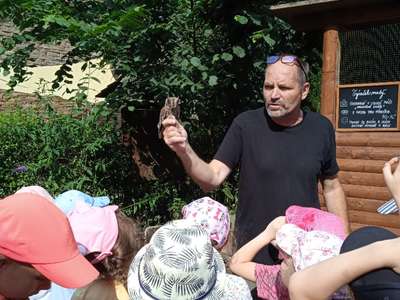 IMG-20220701-093918-1.jpg