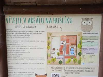 IMG-20220701-102546-1.jpg