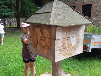 IMG-20220701-102807-1.jpg