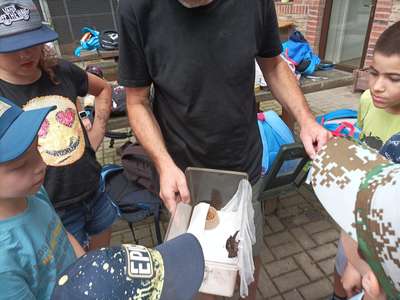 IMG-20220701-WA0015.jpg