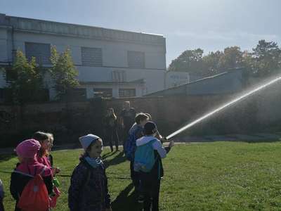 IMG-20221006-105100.jpg