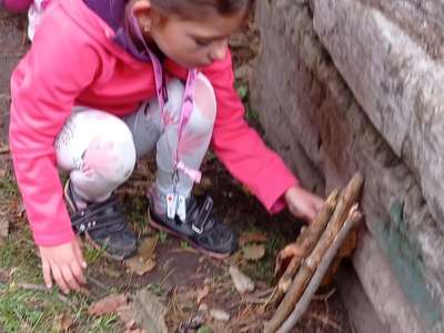 IMG-20221019-WA0003.jpg