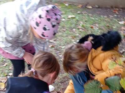 IMG-20221019-WA0006.jpg