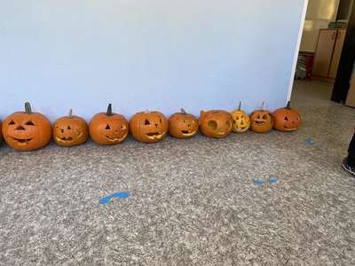 01_Image1.jpeg