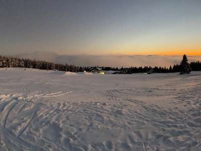 IMG-0873.jpg