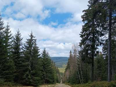 IMG-20230510-WA0039.jpg
