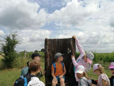 IMG-20230628-113352.jpg