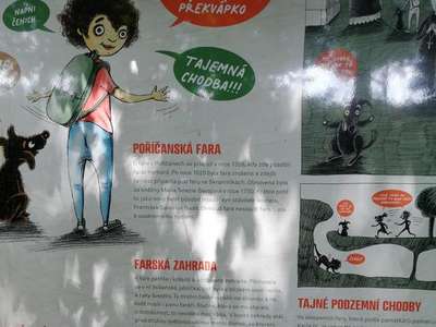 IMG-20230628-115540.jpg