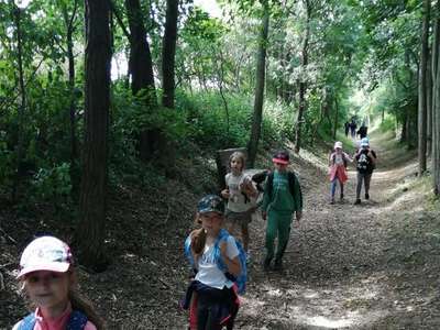 IMG-20230628-115556.jpg
