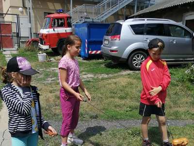 IMG-20230628-125136.jpg