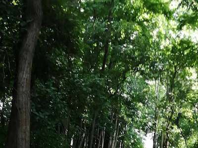 received-796120165340378.jpeg