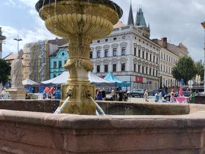 15_IMG-20230703-101711.jpg